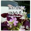 我的相冊